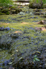 Fairyland with the Family