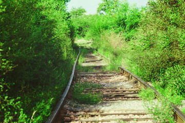 Obraz premium Old grass-covered railway.