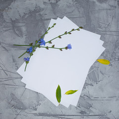 white paper and fresh blue flowers on grey stucco