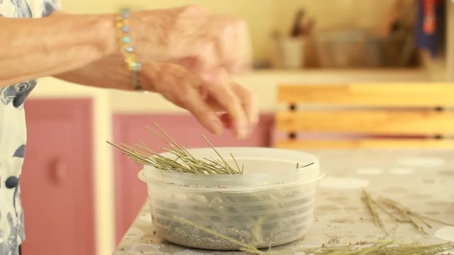 Une femme &eacute;graine des fleurs de lavande