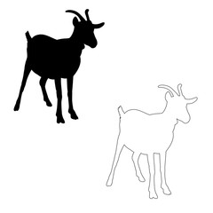 silhouette goat with horns stands on white background