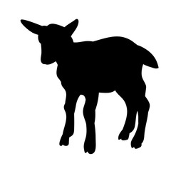 vector, isolated silhouette of goats on white background