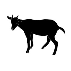 vector, isolated black silhouette goat with horns