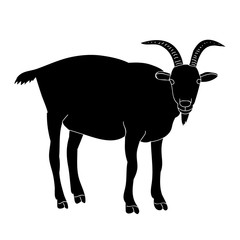 isolated silhouette goat with horns