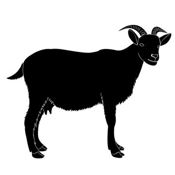 recommend clip art: silhouette goat with horns