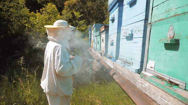 the beekeeper working in the apiary bees fly swarm multi colored beehive slow motion video. bee-maker beekeeper man working of a smoke pipe lifestyle beeper wooden hives smoker device for repelling