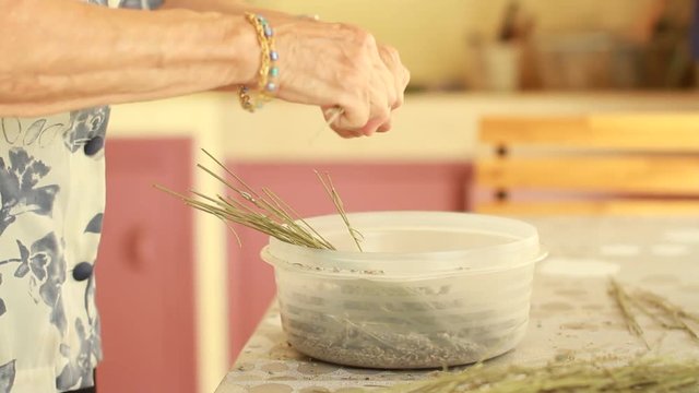 Une femme &eacute;graine des fleurs de lavande
