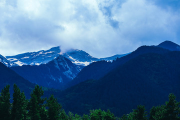 Photo depicting beautiful a foggy mystic mountains. Fog clouds at the pine tree mystical woods, morning.