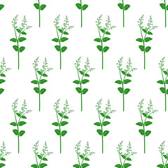 Wildflowers. Botanical seamless pattern with flower field branches. Flower background of nature.