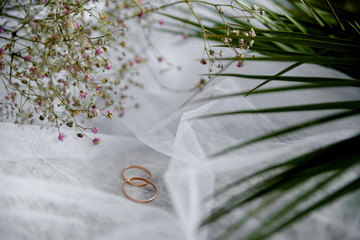 Rings © Alexandra Selivanova