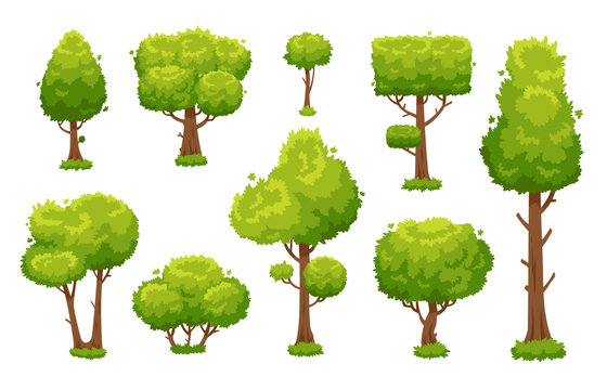 Cartoon green tree. Environmental forest or park trees isolated for vector illustration background