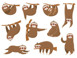 Cute cartoon sloths. Adorable rainforest animals, mother and baby on branch, funny sloth animal sleeping on jungle tree vector set - obrazy, fototapety, plakaty