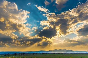 Fototapeta premium sunset in the field