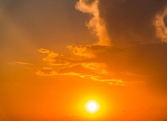 Fototapeta premium Sunset landscape