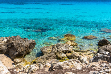 Landscape at the sea