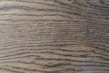 Natural oak pattern. Macro shot of oak texture. Hi res photo