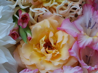 Geschenk, postcart, maro blumen strauss weiss, gelb, rosa, pink