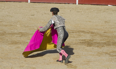 Matador and bull in bullfight. Madrid, Spain.