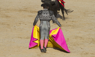  sand, bullfight, traditional Spanish party where a matador fighting a bull