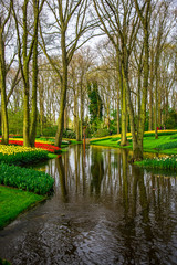 Landscape in Keukenhof park , Holland