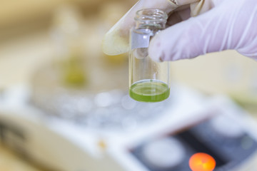 Analysis of fish meal in laboratory.