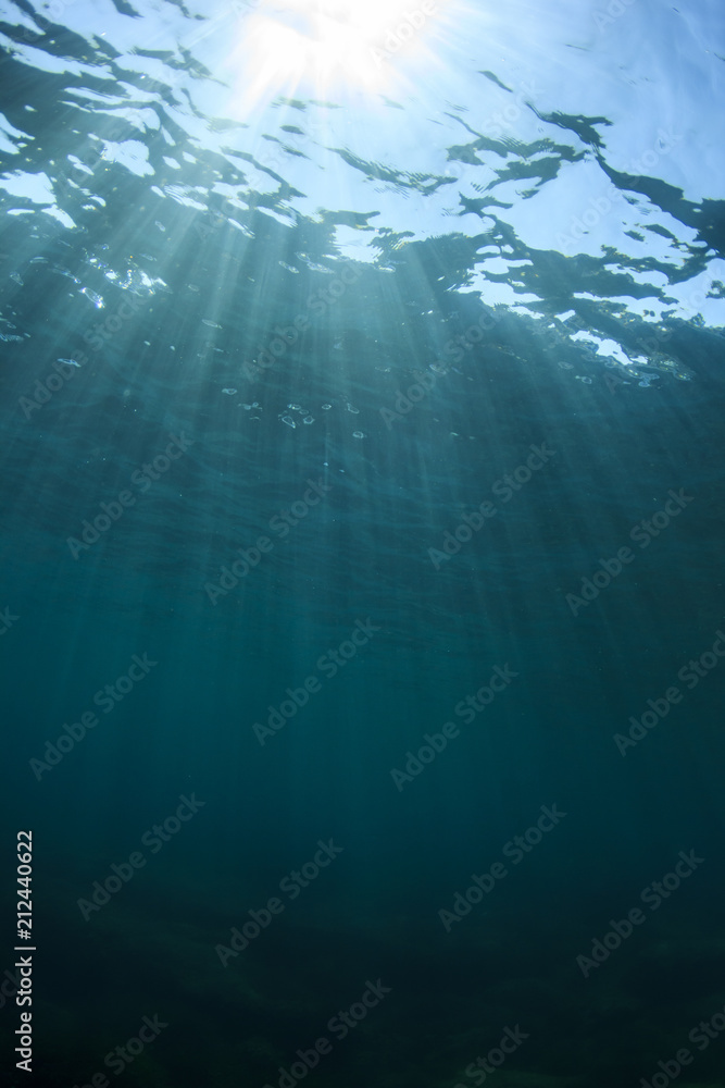 Poster underwater ocean background