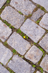 rural rock stone pavement. background, nature.