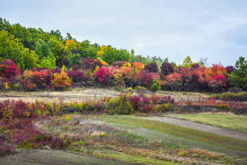 Obraz premium autumn in the park