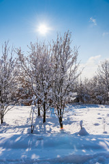Fototapeta na wymiar Fresh winter snow trees