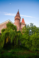 Fototapeta premium Old medieval Corvinesti Castle, Romania