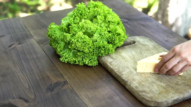 Spread the cheese on a wooden board with the leaves of a green salad. Cooking. Clous-up
