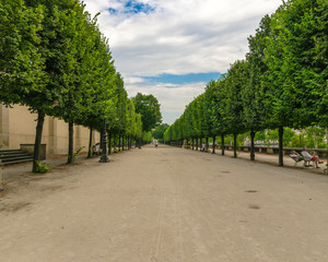 road in the park of Tuileries in Paris on a hot summer day, with large trees and greens to the...