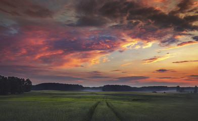 Dramatic Stormy Clouds over Green Fields at Summer
