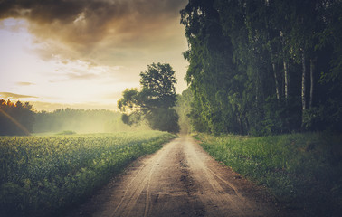 Obraz premium Sceniczna Pusta Forestl droga przy Misty zmierzchem