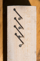 Set of metal nails in wood.
