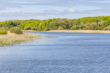 Corrib River and natural vegetation
