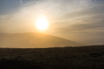 Morning fog on the hill