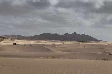 Fototapeta na wymiar Viana Desert
