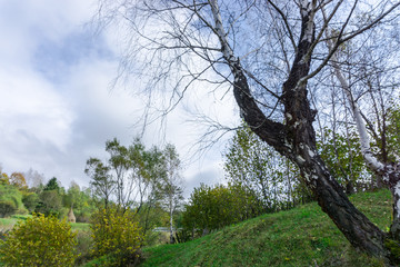 Landscape in the Mountains