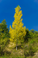 Landscape in the Mountains