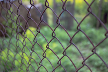 Fototapeta premium Old steel wire mesh fence with blurred green background close up.