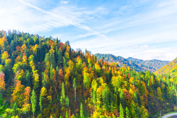 Autumn landscape