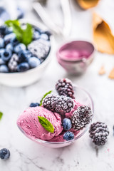Blueberry and blackberry ice cream in bowl with frozen fruits