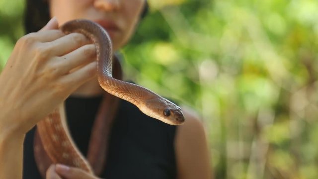 Caucasian Woman holding snake in an Asian village, Sri Lanka close-up. Snake charmer