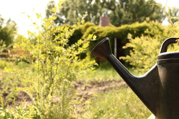 part of the watering can