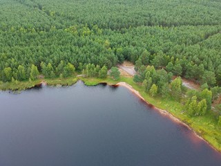 Fototapeta premium Aerial view on mud lake surface, forest and shore