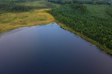 Fototapeta na wymiar Aerial view on mud lake surface, forest and shore