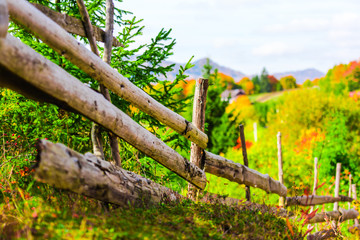 Fototapeta premium Autumn landscape in Carpathia Mountains