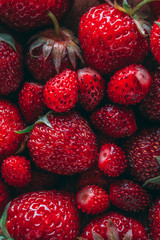 Strawberry and wild strawberry macro closeup texture