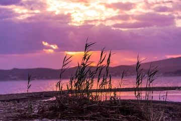 Tableau sur aluminium Paysages Sea sunset landscape  © Ivanica